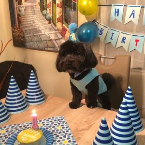 Meet your Posher, Kathy